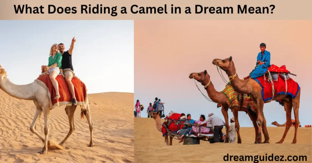 What Does Riding A Camel In A Dream Mean 2 What Does Riding a Camel in a Dream Mean