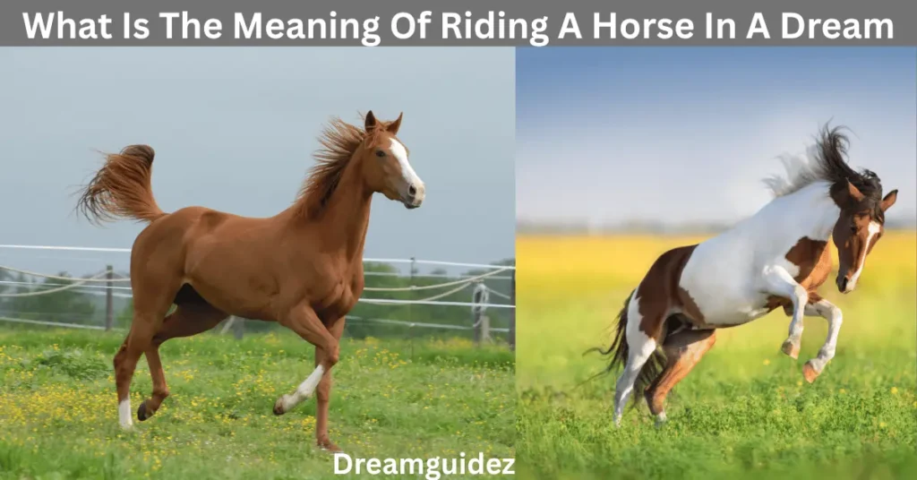 What Is The Meaning Of Riding A Horse In A Dream 2 What Is The Meaning Of Riding A Horse In A Dream