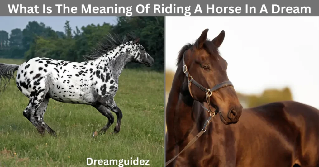 What Is The Meaning Of Riding A Horse In A Dream 3 What Is The Meaning Of Riding A Horse In A Dream