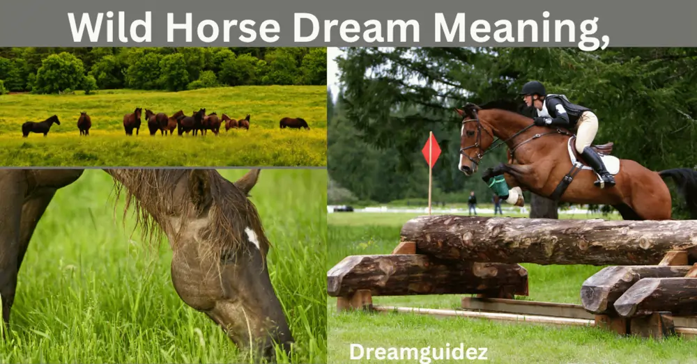 Wild Horse Dream Meaning, Symbolism & Spiritual Interpretation 2 Wild Horse Dream Meaning, Symbolism & Spiritual Interpretation