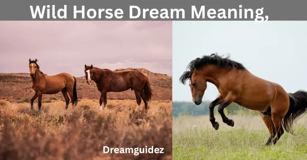 Wild Horse Dream Meaning, Symbolism & Spiritual Interpretation 3 Wild Horse Dream Meaning, Symbolism & Spiritual Interpretation
