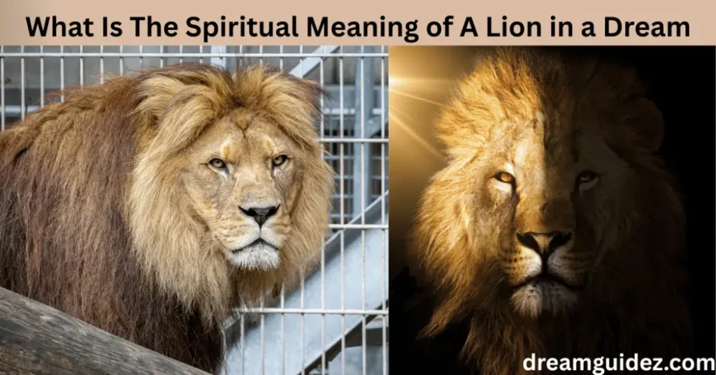 What Is The Spiritual Meaning of A Lion in a Dream 2 What Is The Spiritual Meaning of A Lion in a Dream