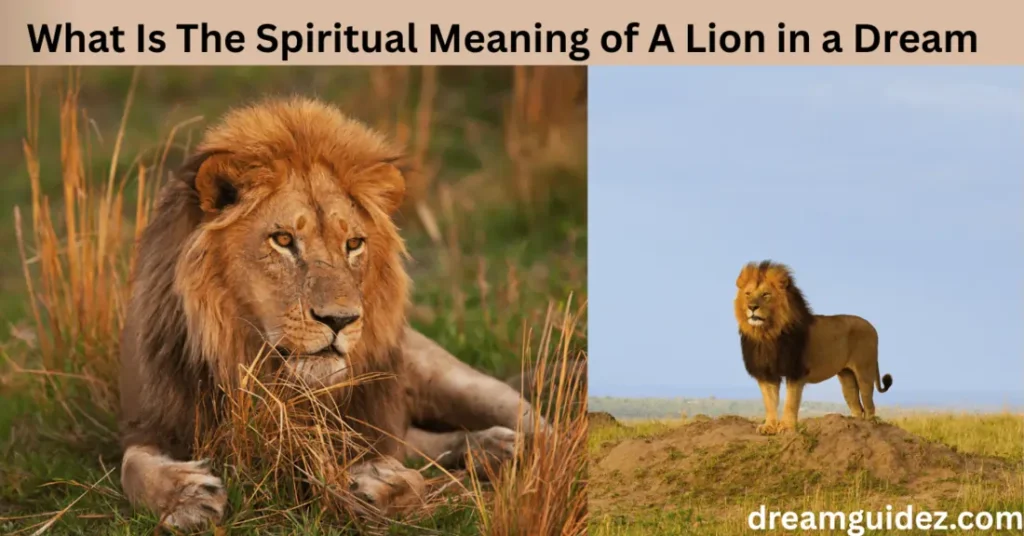 What Is The Spiritual Meaning of A Lion in a Dream 3 What Is The Spiritual Meaning of A Lion in a Dream