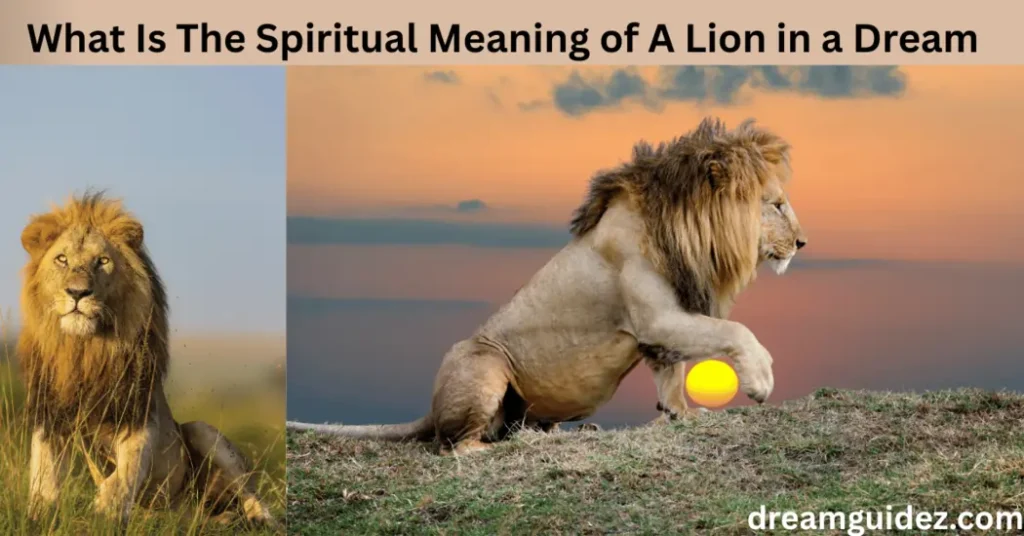 What Is The Spiritual Meaning of A Lion in a Dream 4 What Is The Spiritual Meaning of A Lion in a Dream