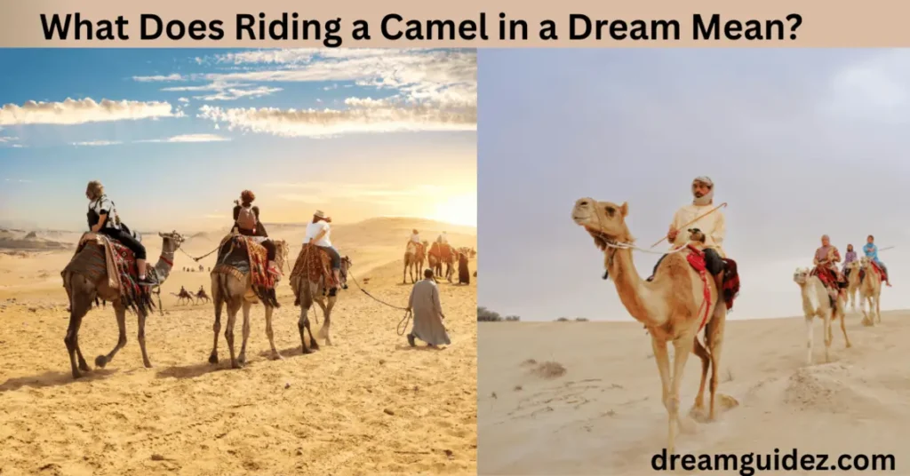 What Does Riding A Camel In A Dream Mean 4 What Does Riding a Camel in a Dream Mean
