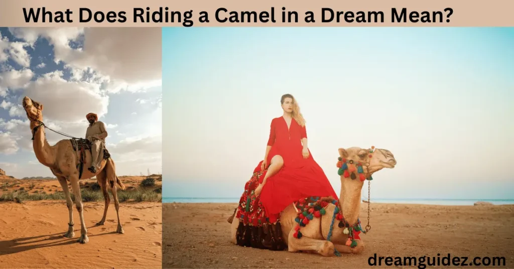 What Does Riding A Camel In A Dream Mean 5 What Does Riding a Camel in a Dream Mean