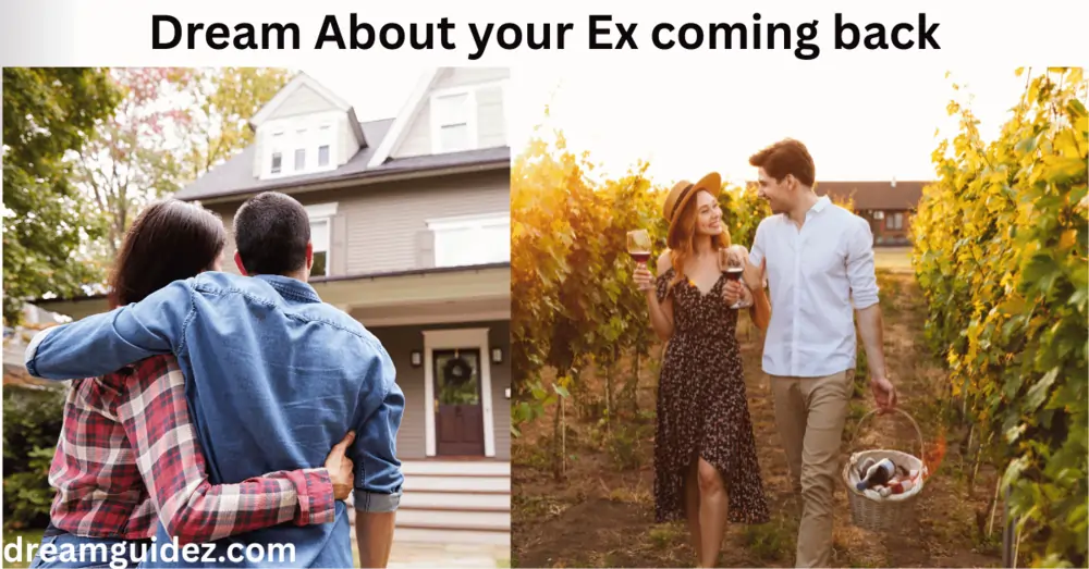 Dream About your Ex coming back