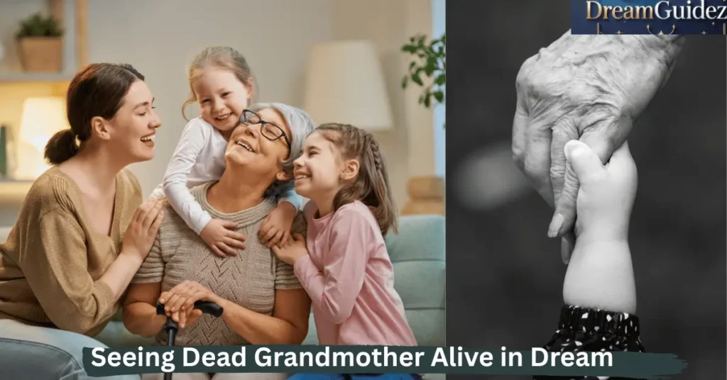 7 Spiritual Signs In Islam of Seeing Dead Grandmother Alive In Dream 3 Seeing Dead Grandmother Alive in Dream