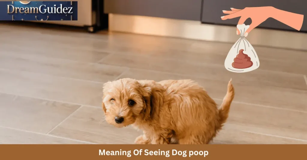 Dog Poop in Front of My House Spiritual Meaning: 5 Signs 3 Dog Poop Near Your House