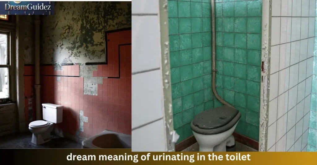 dream meaning of urinating in the toilet