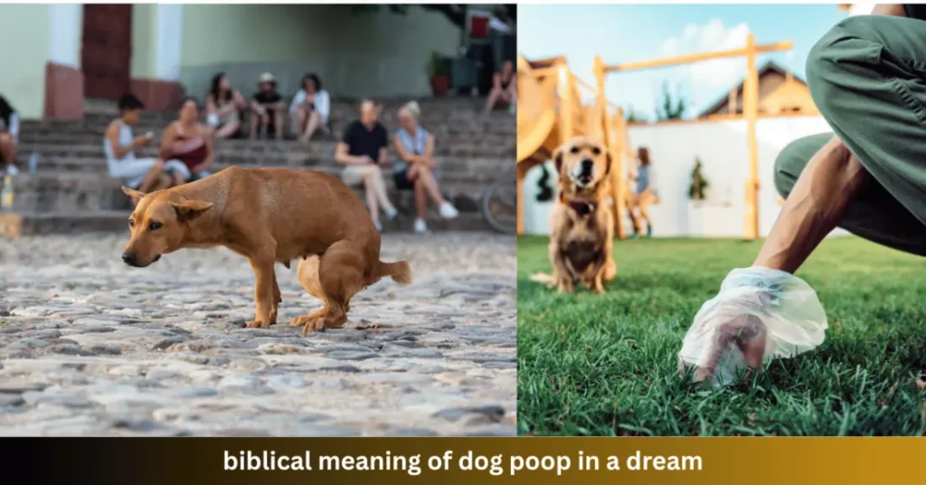 Biblical Meaning of Dog Poop in a Dream: 7 Hidden Warnings Uncovered 2 biblical meaning of dog poop in a dream