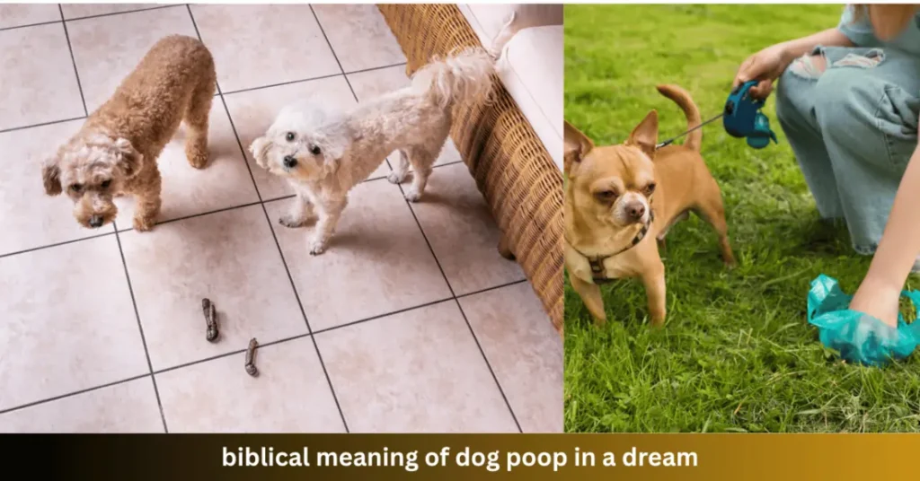 Biblical Meaning of Dog Poop in a Dream: 7 Hidden Warnings Uncovered 3 biblical meaning of dog poop in a dream
