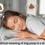 Biblical Meaning of Dog Poop in a Dream