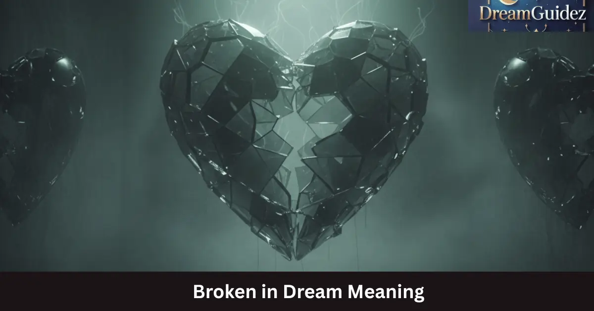 Home 2 Broken in Dream Meaning