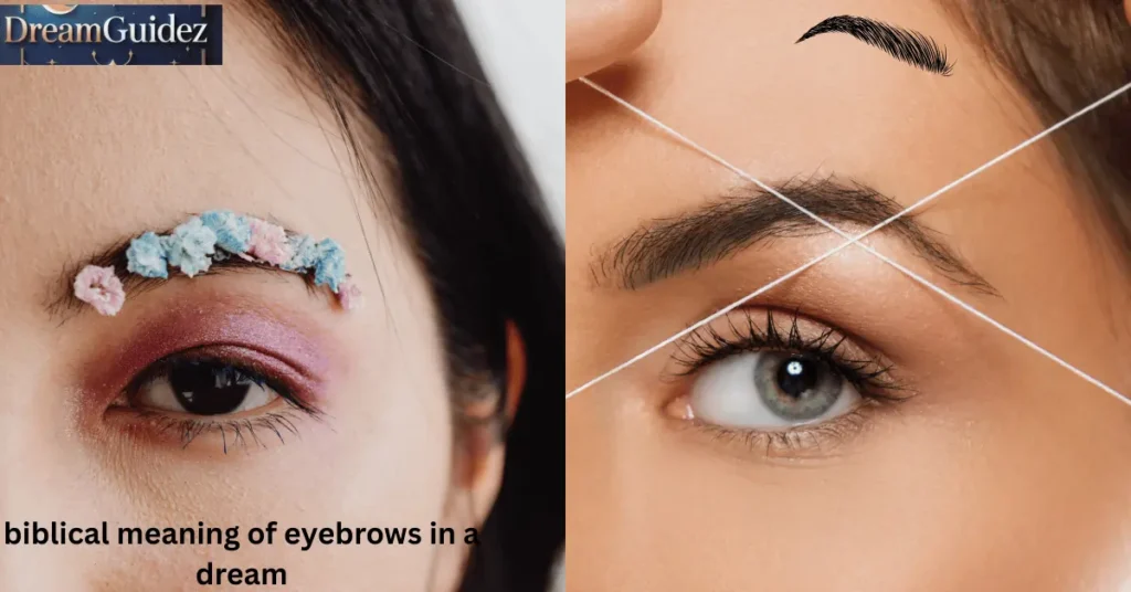 biblical meaning of eyebrows in a dream