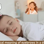 Biblical Meaning of Eyebrows in a Dream: 5 Powerful Insights 3 biblical meaning of eyebrows in a dream