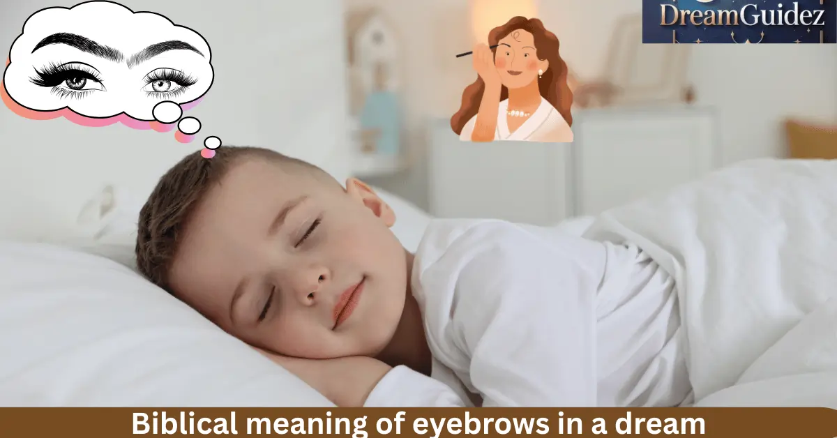 Home 2 biblical meaning of eyebrows in a dream